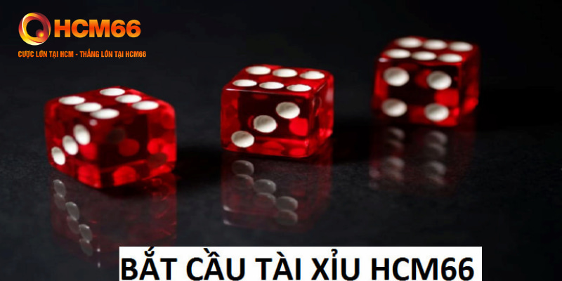 Bắt Cầu Tài Xỉu HCM66 Siêu Chuẩn Xác Từ Các Chuyên Gia